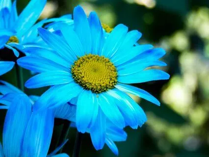 Morning Energy Healing