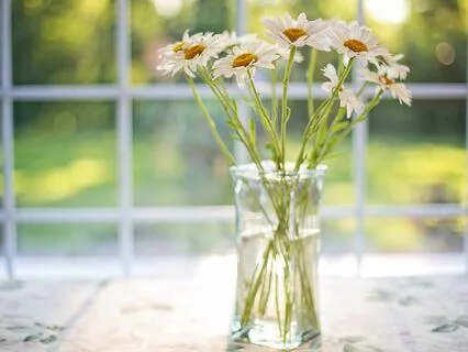 Morning Energy Hygiene Practice