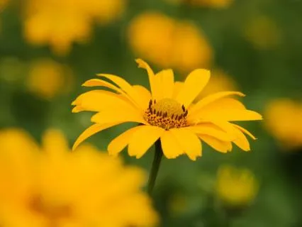 Morning Energy & Intention