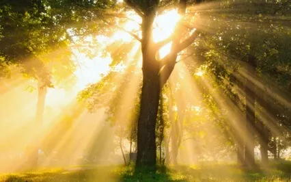 Morning Energy Practice