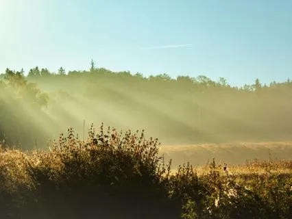 Morning Energy Reclamation