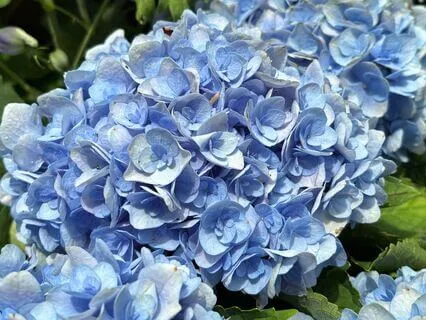 Morning Energy Reset: Step Into Your Day With Clarity