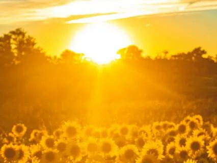 Morning Energy: Somatic Wake-Up Flow