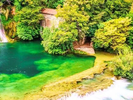 Morning Flourish: Daily Breath