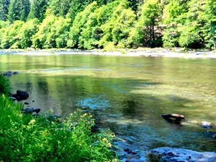 Morning Focus | A Meditation For Beautiful Souls