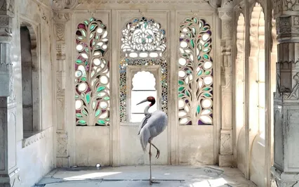 Morning Focus And Awareness