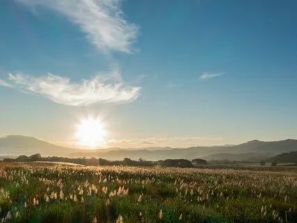 Set Intentions For A Productive Day