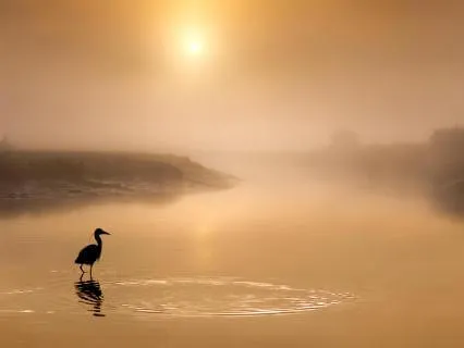 Morning Focus | Morning Meditation For Beautiful Souls