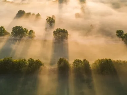 Morning Fog Meditation