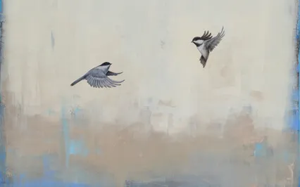 Morning Forest Birds