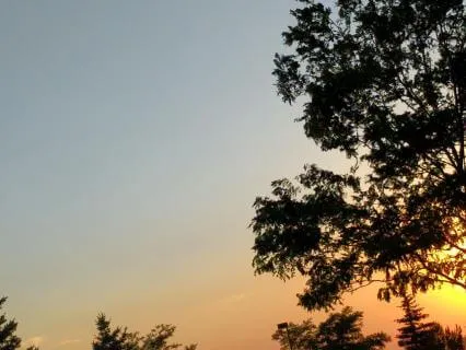 Morning Frequency: Clarity For A New Day (963 Hz)