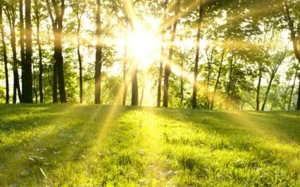 Morning Freshness- Start Your Day Here