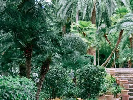 Morning Garden Focus With 528 Hz And 12 Hz Isochronic Tones