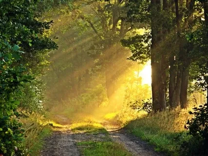 Morning Glory - Mindful Music Collection