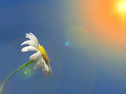 Morning Glory: Music For Your Morning Meditation