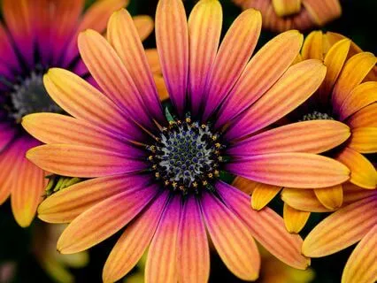 Morning Glow Affirmations