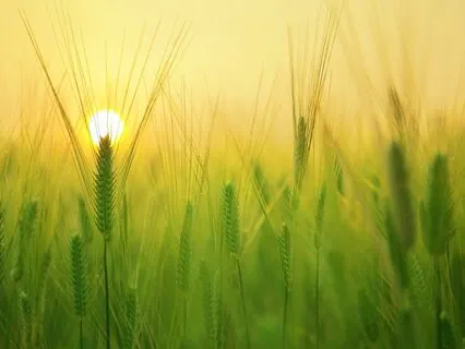 Morning Glow: Energising Start To Your Day