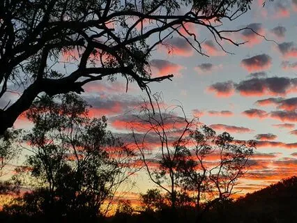 Morning Glow: Energize, Radiate, Thrive