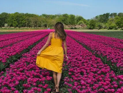 Morning Glow : Visualize The Sun's Warmth Within