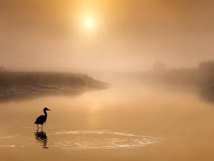 Morning: Gratefulness