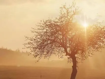 Morning Gratitude | 5 Minutes