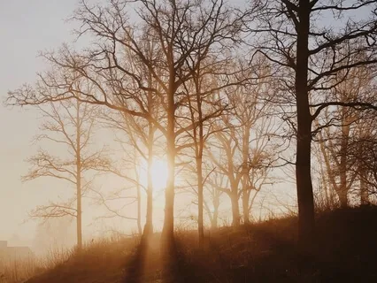 Autumn Morning Gratitude