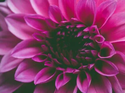 Morning Gratitude & Abundance