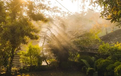 Morning Gratitude Affirmations For Planet Earth