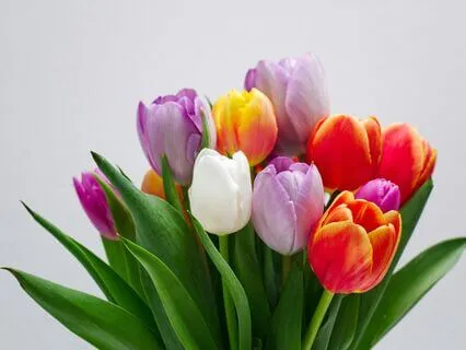 Morning Gratitude Affirmations