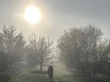 Morning Gratitude And Affirmations