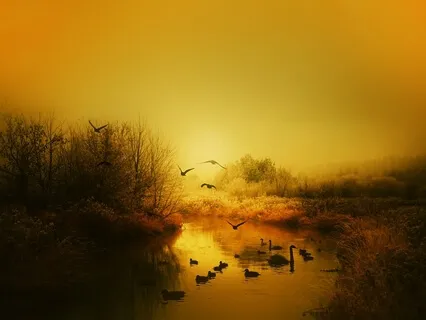 Morning Gratitude & Intention Meditation