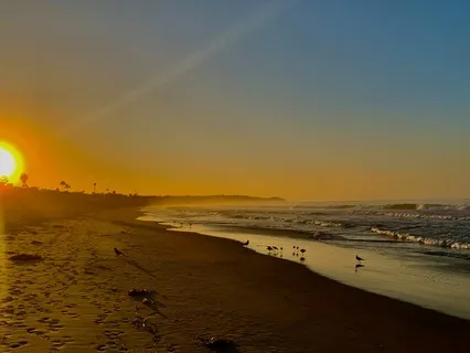 Morning Gratitude And Renewal