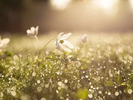 Morning Gratitude And Thanks