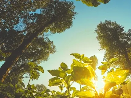 Morning Gratitude Chant For Blessings And Guidance