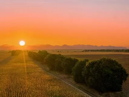 Morning Gratitude - Elevate Your Energy