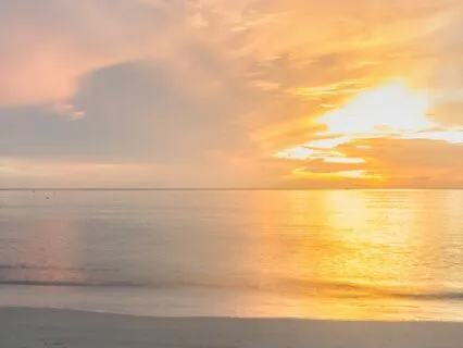 Morning Gratitude: Embracing Blessings With Open Hearts