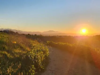 Morning Gratitude For My Healthy Body