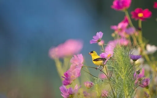 Morning: Gratitude For Your Body & Intention Setting