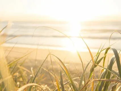 Morning Gratitude Guided Meditation