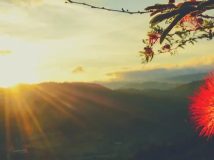 Morning Gratitude In Bed