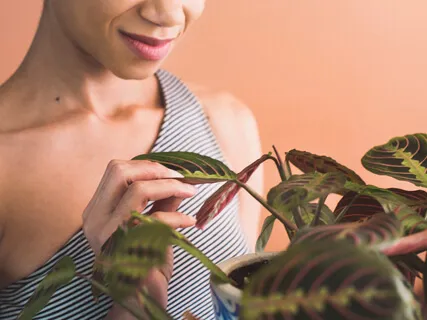 Morning Gratitude Intention Meditation