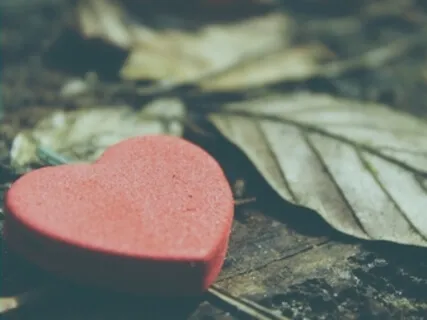 Morning Gratitude Meditation