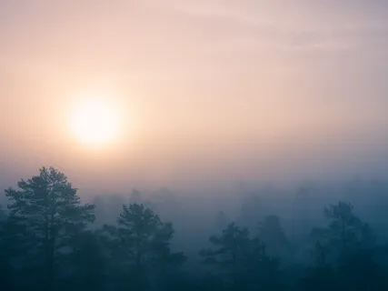 Morning Gratitude Meditation