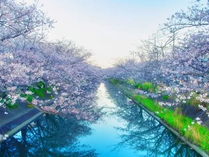 Morning Gratitude Meditation