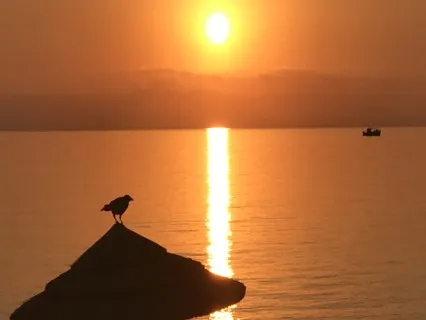 Morning Gratitude Meditation 