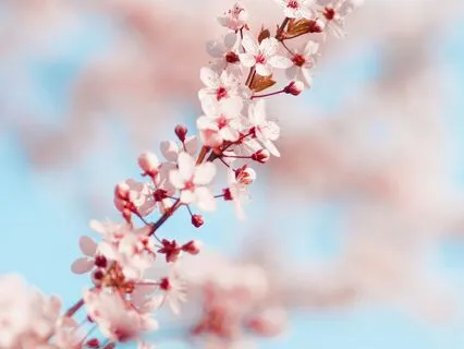 Morning Gratitude Meditation – A Beautiful Awakening