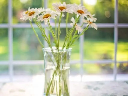 Morning Gratitude Meditation