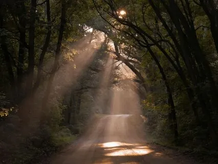 Morning Gratitude Meditation