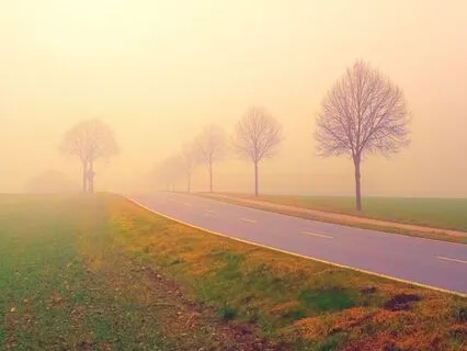 Start The Day With Gratitude