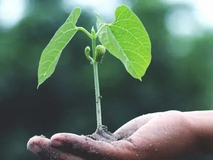 Morning Gratitude Meditation